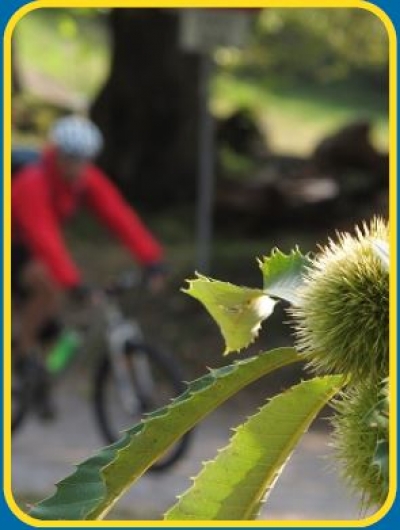 BICICASTAGNATA in programma per domenica 27 ottobre rimandata al 3 novembre